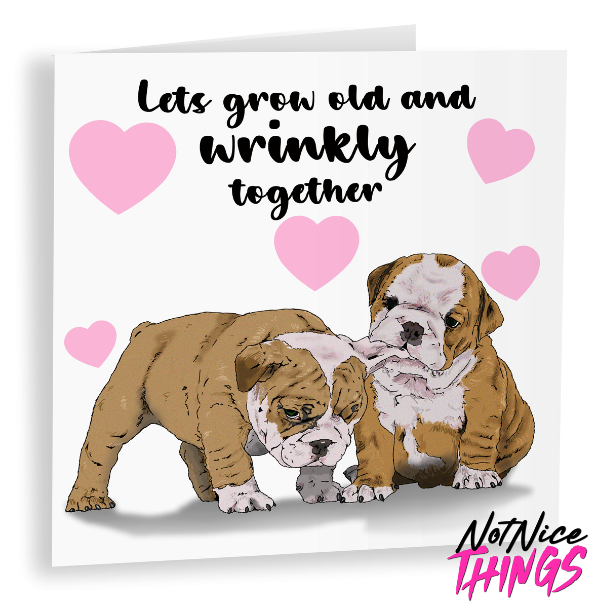 NotNiceThings Valentinstagskarte 'Old & Wrinkly' – Witzig Für Hundebesitzer, Perfekt Für Freund, Frau Oder Freundin
