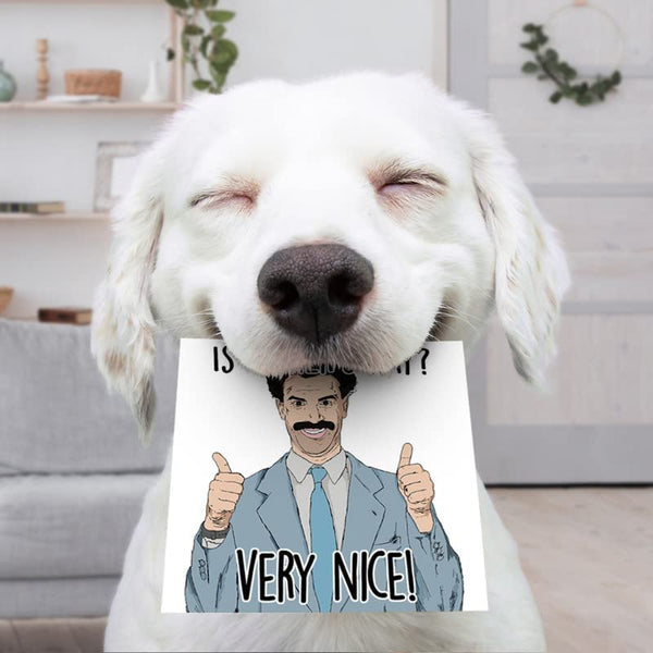 Borat Fathers Day Card | Funny Card for Dad