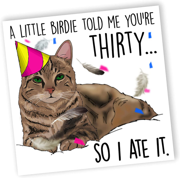 Funny Cat Birthday Card | 30th Birthday Card