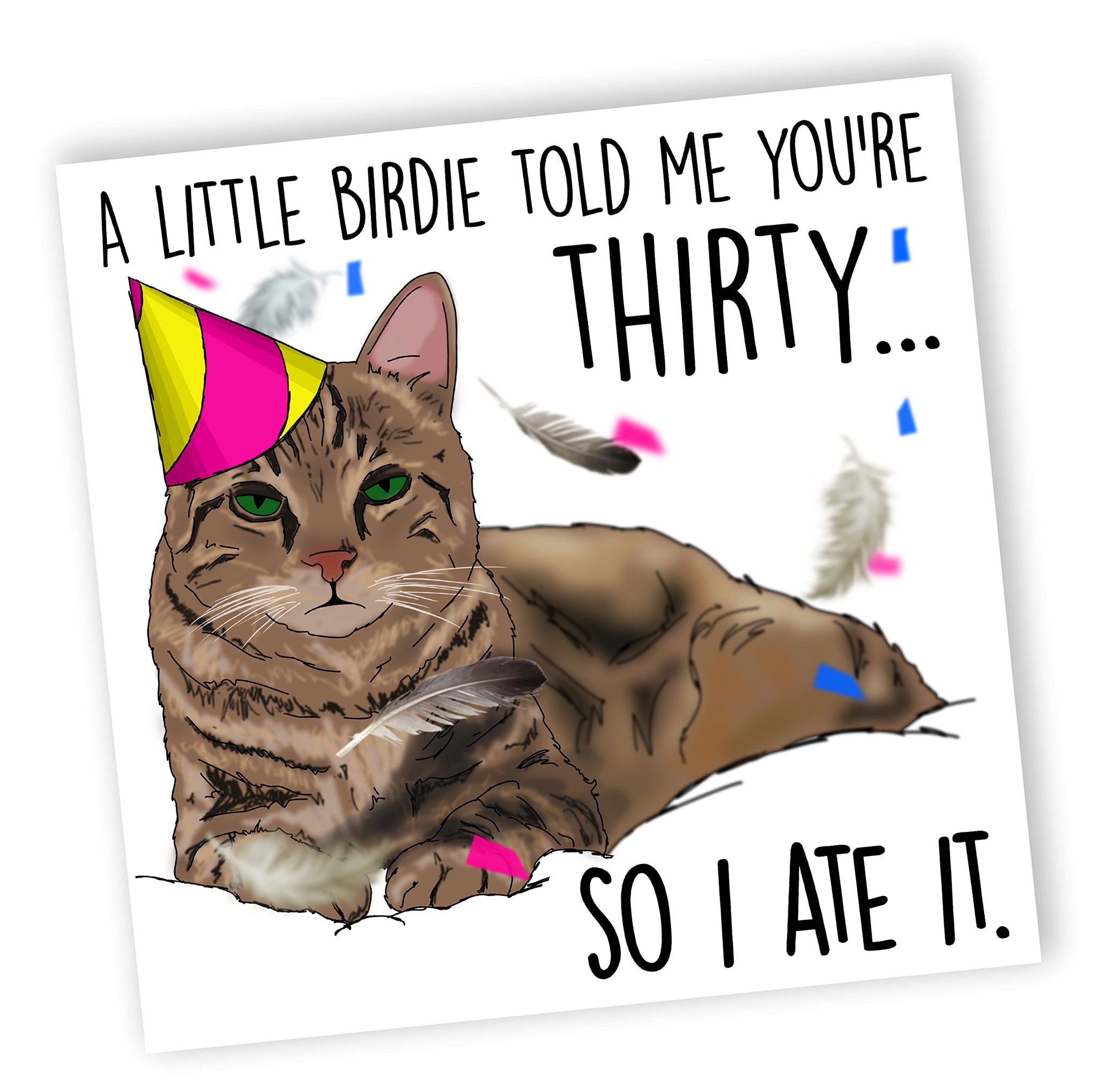 Funny Cat Birthday Card | 30th Birthday Card
