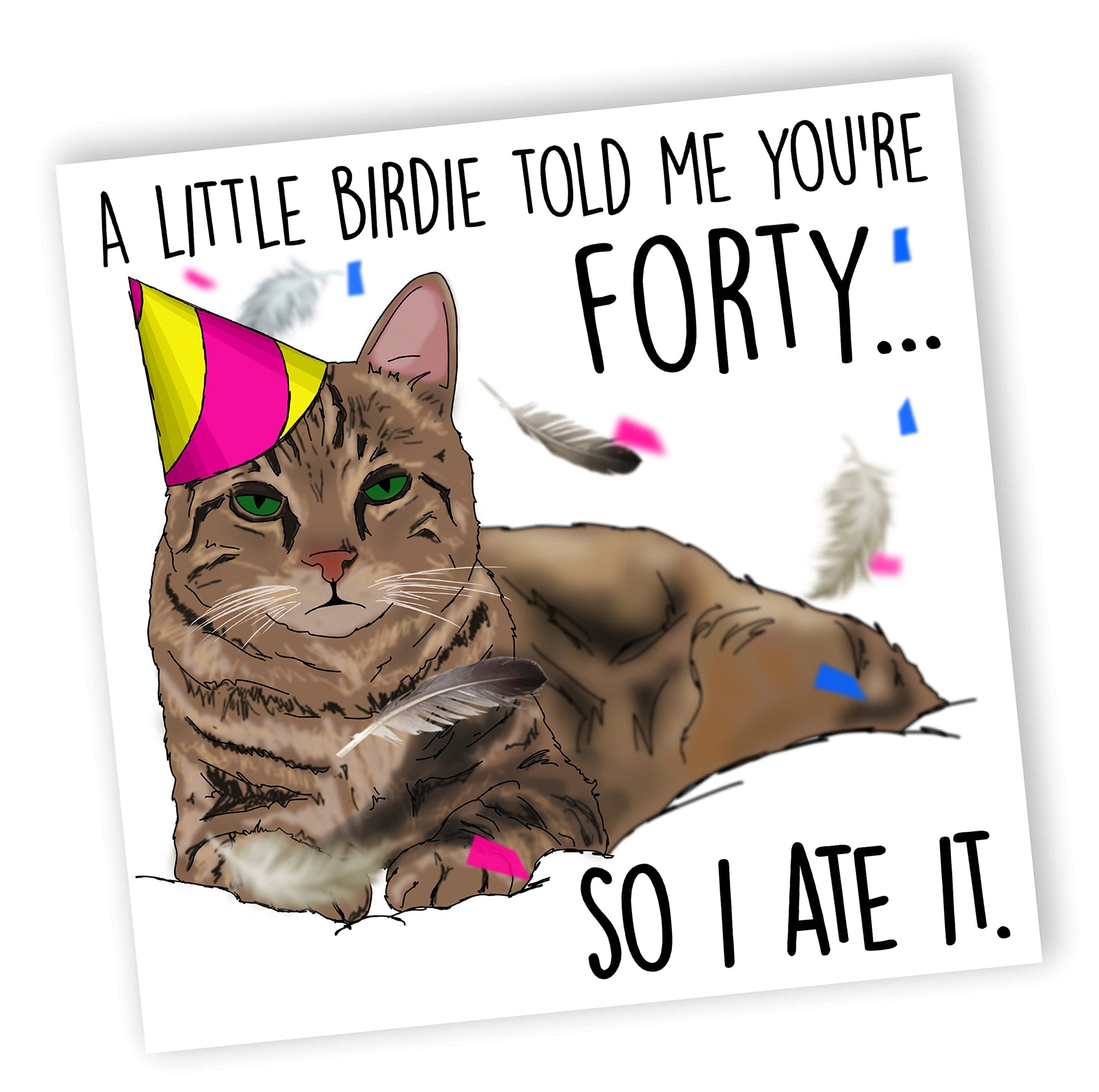 Funny Cat Birthday Card | 40th Birthday Card