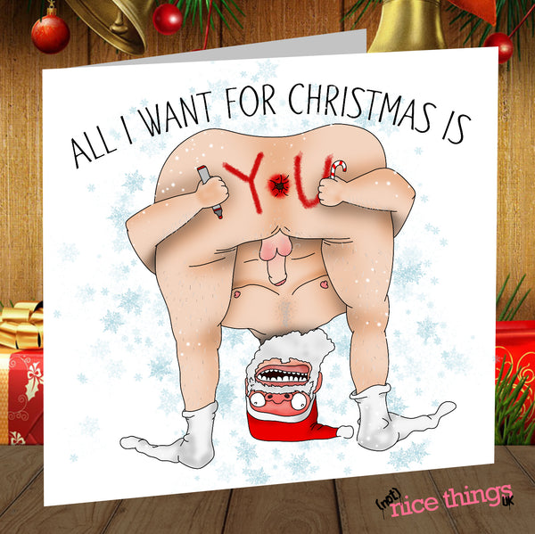 All I want for Christmas Card | Rude Christmas Card