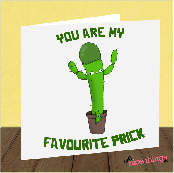 Rude Funny Cactus Birthday Card | Naughty Birthday Card