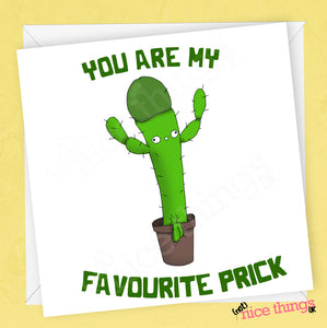 Rude Funny Cactus Birthday Card | Naughty Birthday Card