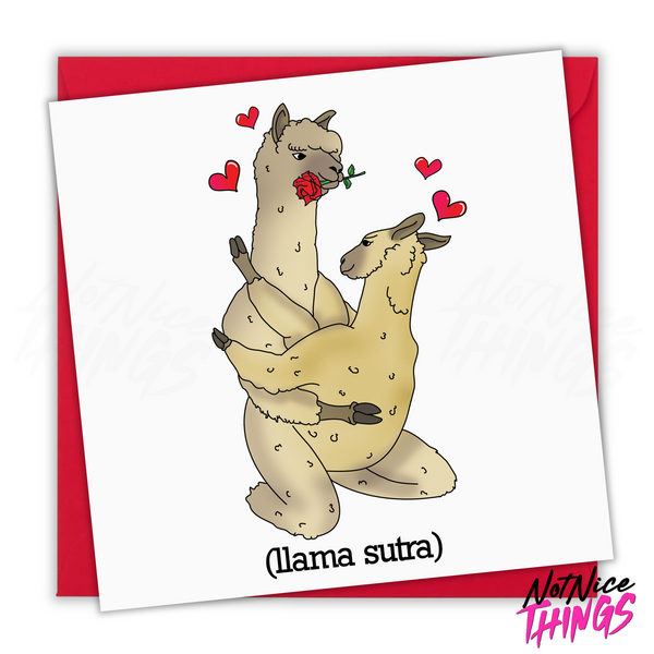 Naughty Llama Funny Anniversary Card, Funny Cards for Girlfriend, Cards for her, Cards for Boyfriend, wife, husband