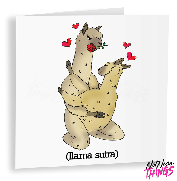 Naughty Llama Funny Anniversary Card, Funny Cards for Girlfriend, Cards for her, Cards for Boyfriend, wife, husband