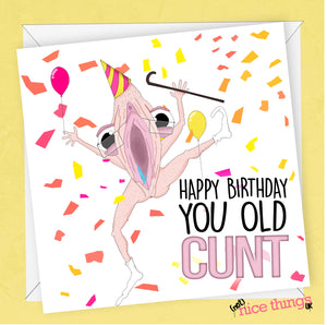 Old Cunt Birthday Card | Rude Birthday Card