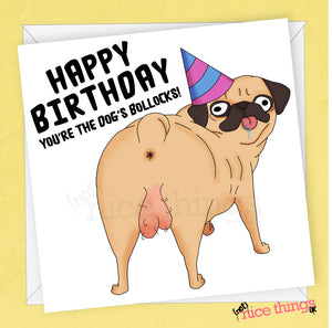 Dog's Bollocks Birthday Card | Funny Birthday Card, Rude Cards for Him